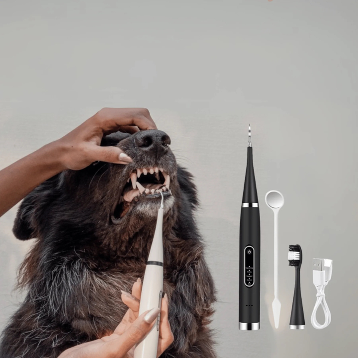 Paw Cleaner Brush for dogs and cats with soft silicone bristles, ideal for removing mud and dirt after walks.