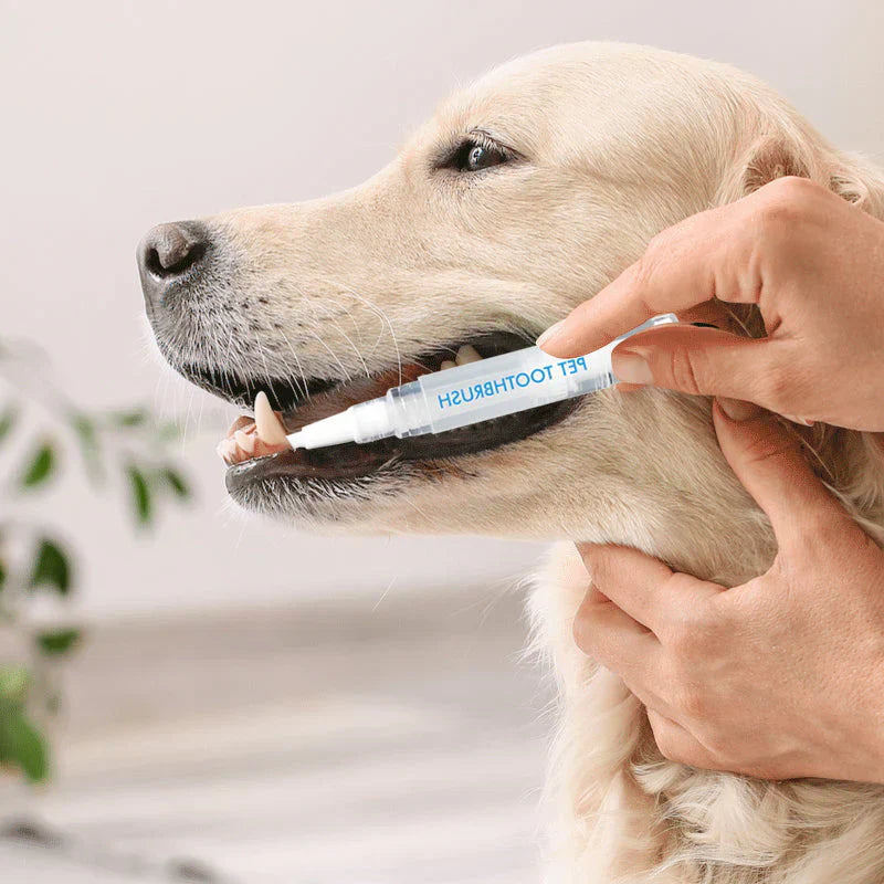 Pet dental cleaning pen for dogs and cats, effective bad breath solution and teeth cleaner