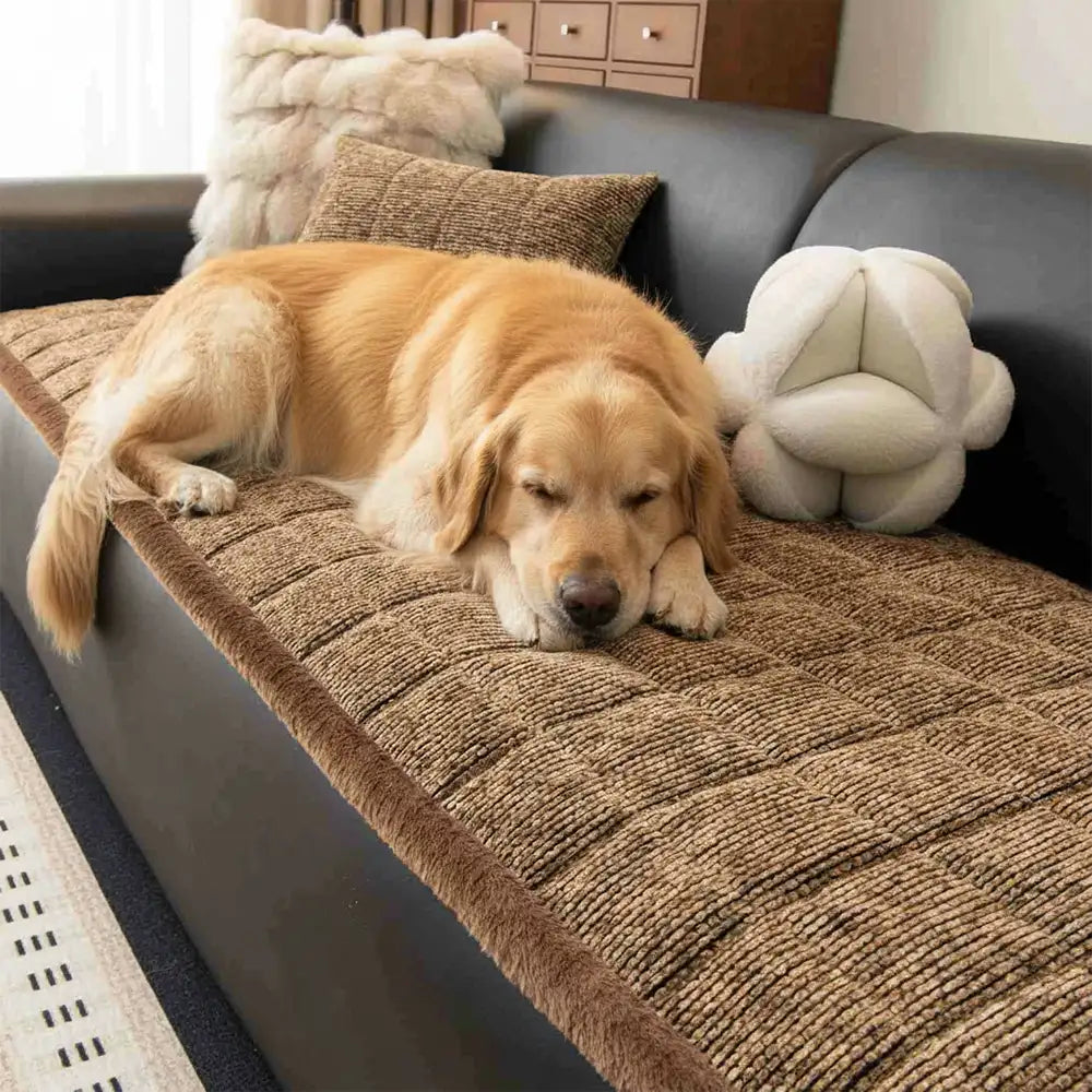 Washable non-slip chenille couch cover draped over a sofa, showing its pet-friendly design
