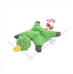 Green duck