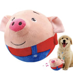 Pig male (red)