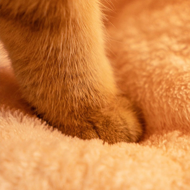 Soft plush cat cave pet bed, designed for ultimate winter coziness and anxiety relief