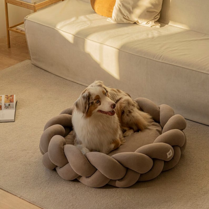 Soft, machine washable bolster dog bed, featuring stylish braided edges for all breeds.