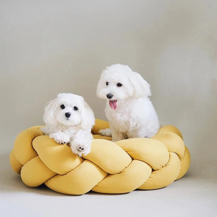 Luxury pet furniture: a comfortable plush dog bed with decorative braided trim.