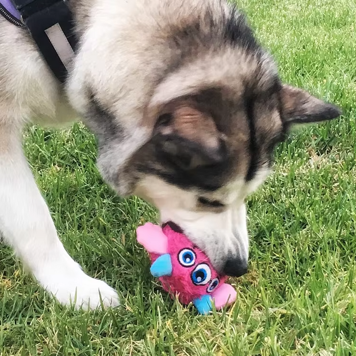 Durable monster ball dog toy, plush interactive pet chew for engaged canine playtime fun