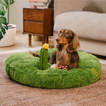Green Mushroom