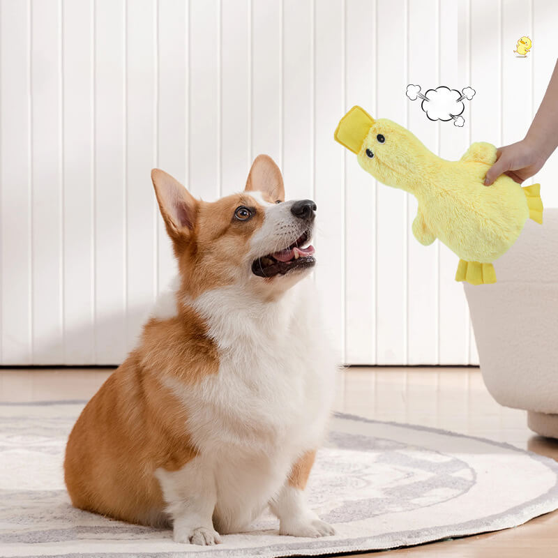 Cute duck-shaped plush dog toy, soft fabric, and internal squeaker for canine fun.