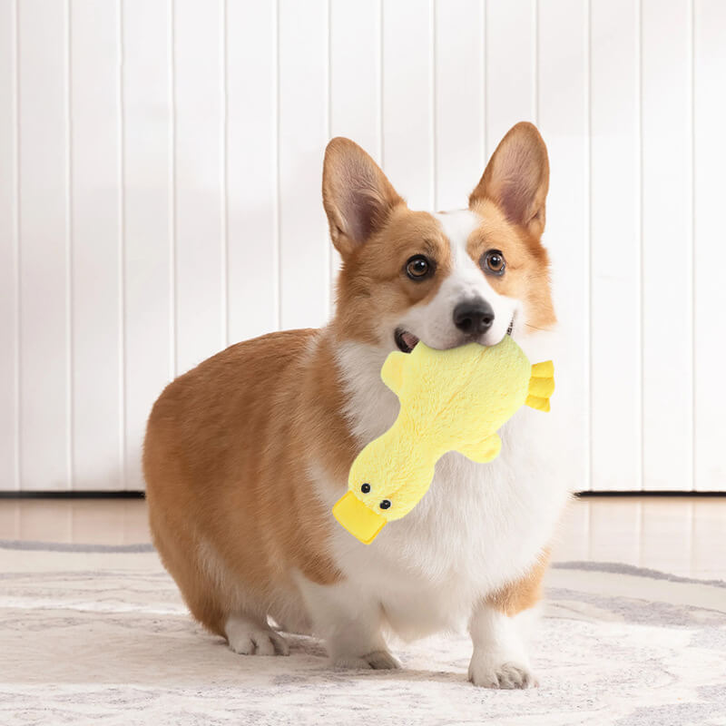 Yellow plush duck chew toy, perfect squeaker dog toy for hours of pet entertainment.