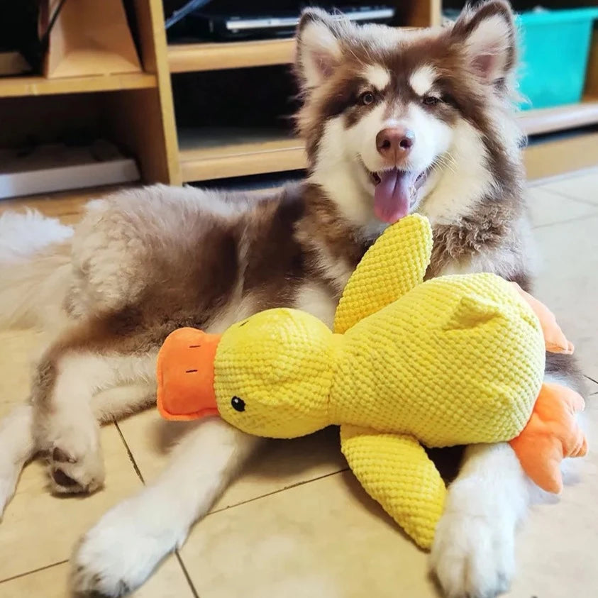 Washable dog comfort toy, a plush yellow duck with sound for mental stimulation and anxiety relief in dogs.