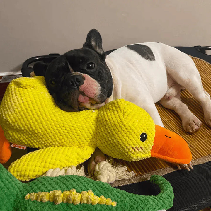 Cute long-legged plush duck sound toy, ideal pet supplies for engaging play and soothing comfort for your dog.