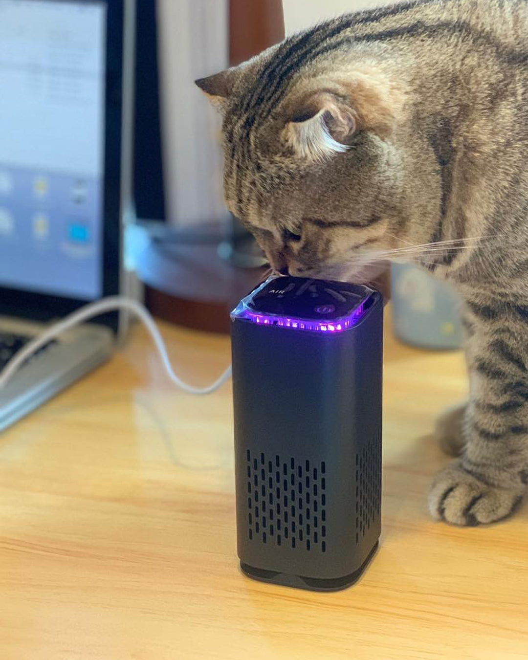 Pet air purifier from top view showcasing its small size and powerful odor eliminator.