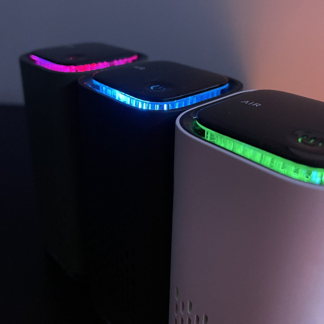 Pet air purifier placed near a dog bed, actively reducing dog dander and odors.