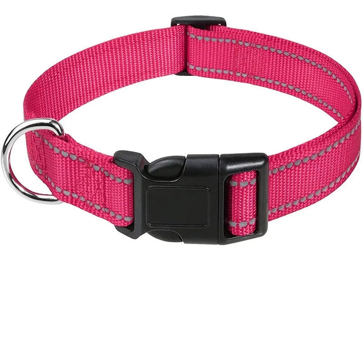 Black everyday adjustable dog collar, versatile for puppies to large dogs, durable pet supply