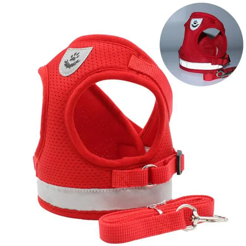 Red breathable mesh dog harness and matching leash, adjustable for comfort during walking