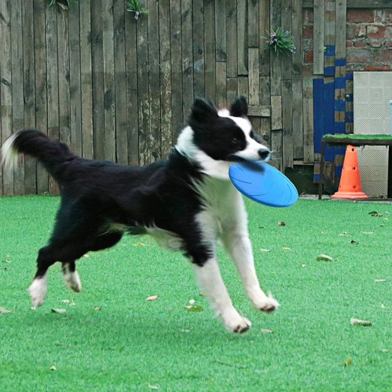 Red durable dog frisbee soaring through the air during active fetch play with a dog.
