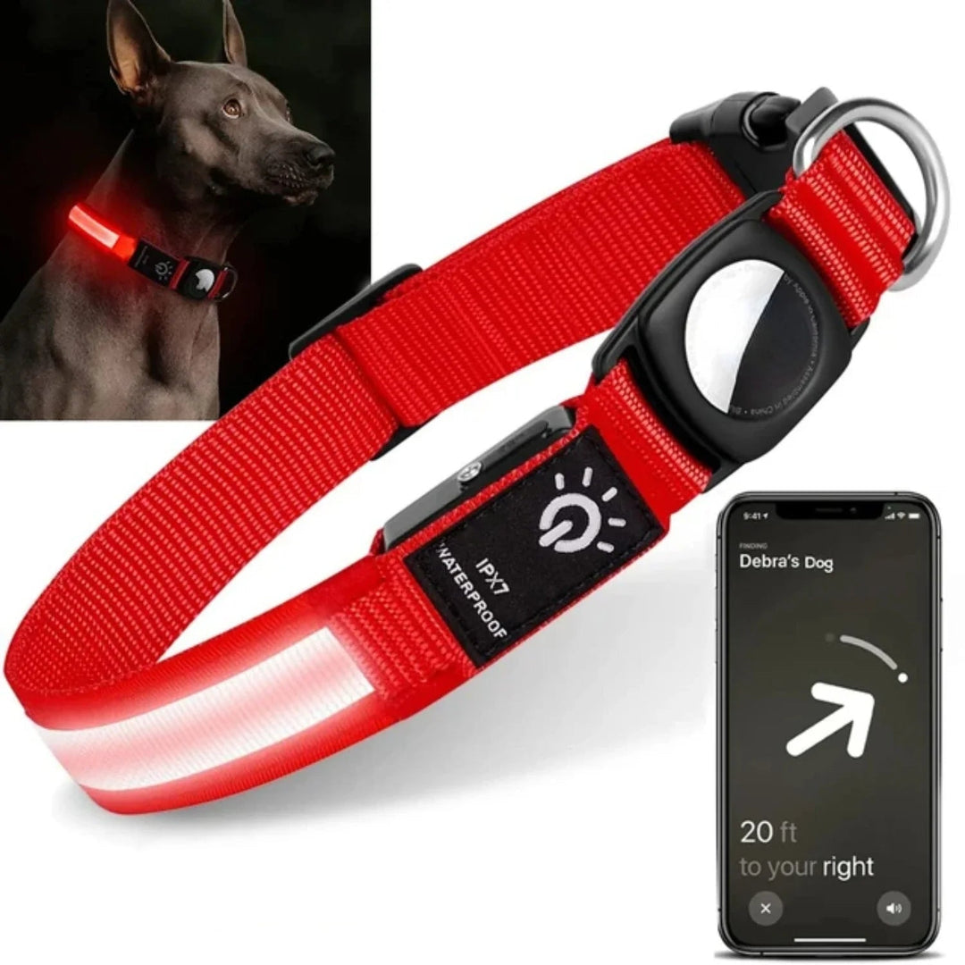 Unisex black LED dog collar, rechargeable and adjustable for enhanced pet visibility and safety