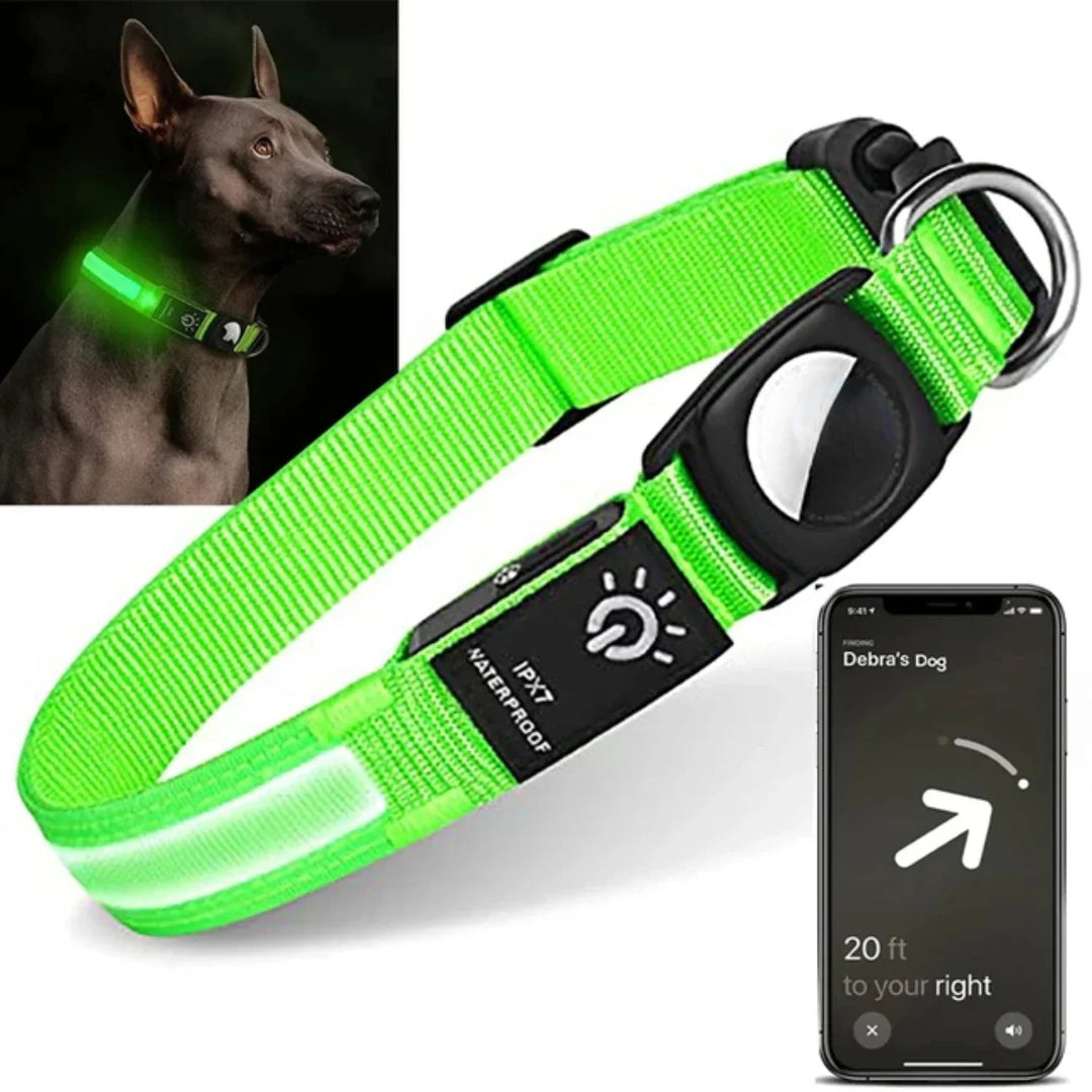 Yellow LED pet activity collar with tracker pouch, ideal for night safety and dog tracking