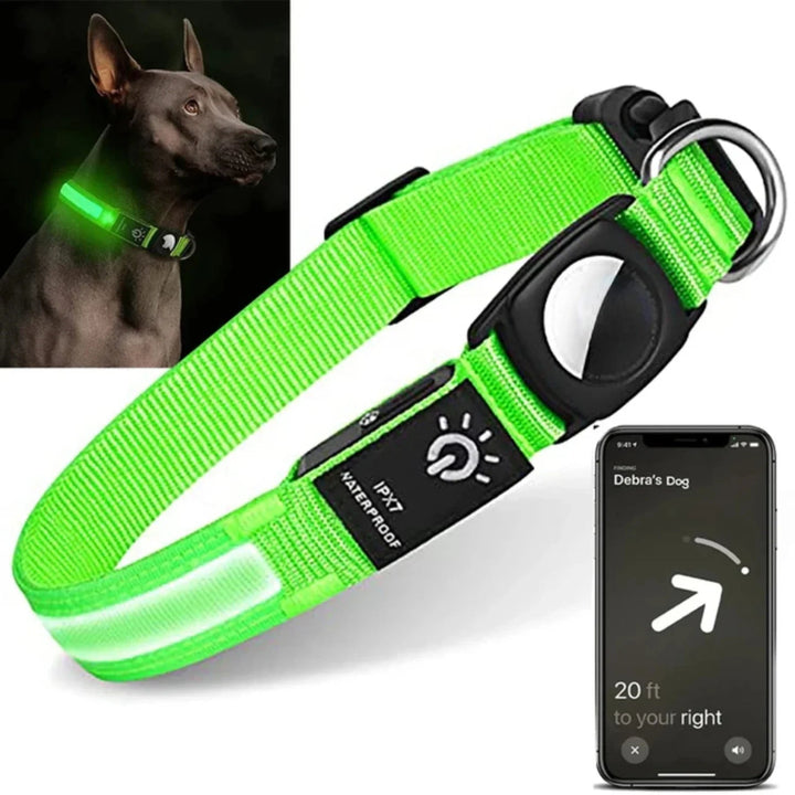 Yellow LED pet activity collar with tracker pouch, ideal for night safety and dog tracking
