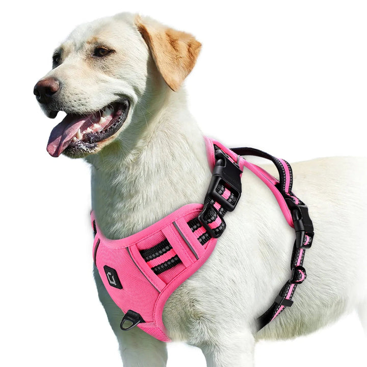 Blue breathable dog harness with reflective trim, padded for maximum comfort