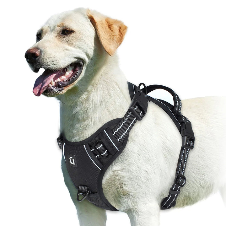 Front view of green no-pull dog harness, adjustable straps for secure fit