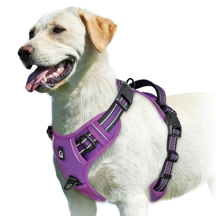 Close-up of durable buckle on adjustable no-pull pet harness for dogs