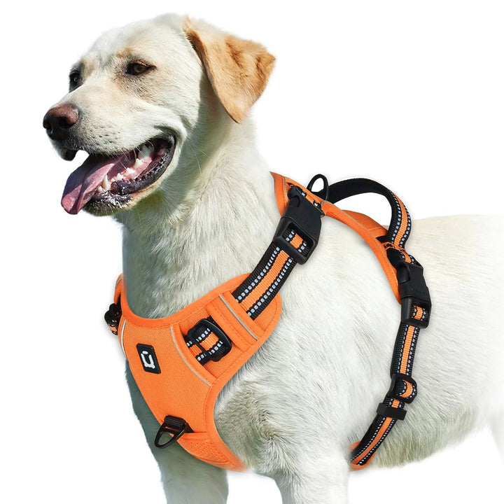 Comfortable breathable dog harness, ideal for daily walks & pet safety