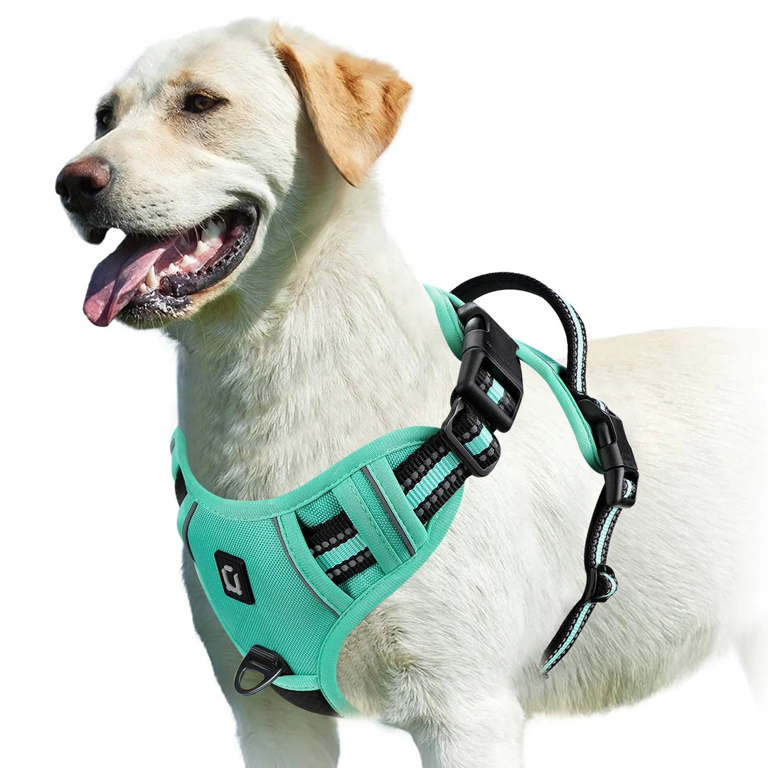 Khaki padded dog harness with breathable lining for ultimate pet comfort
