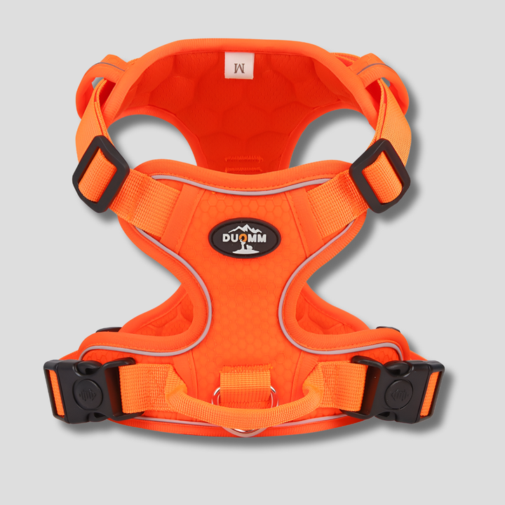 Red reflective adjustable dog harness for outdoor safety, padded for comfort during walks.