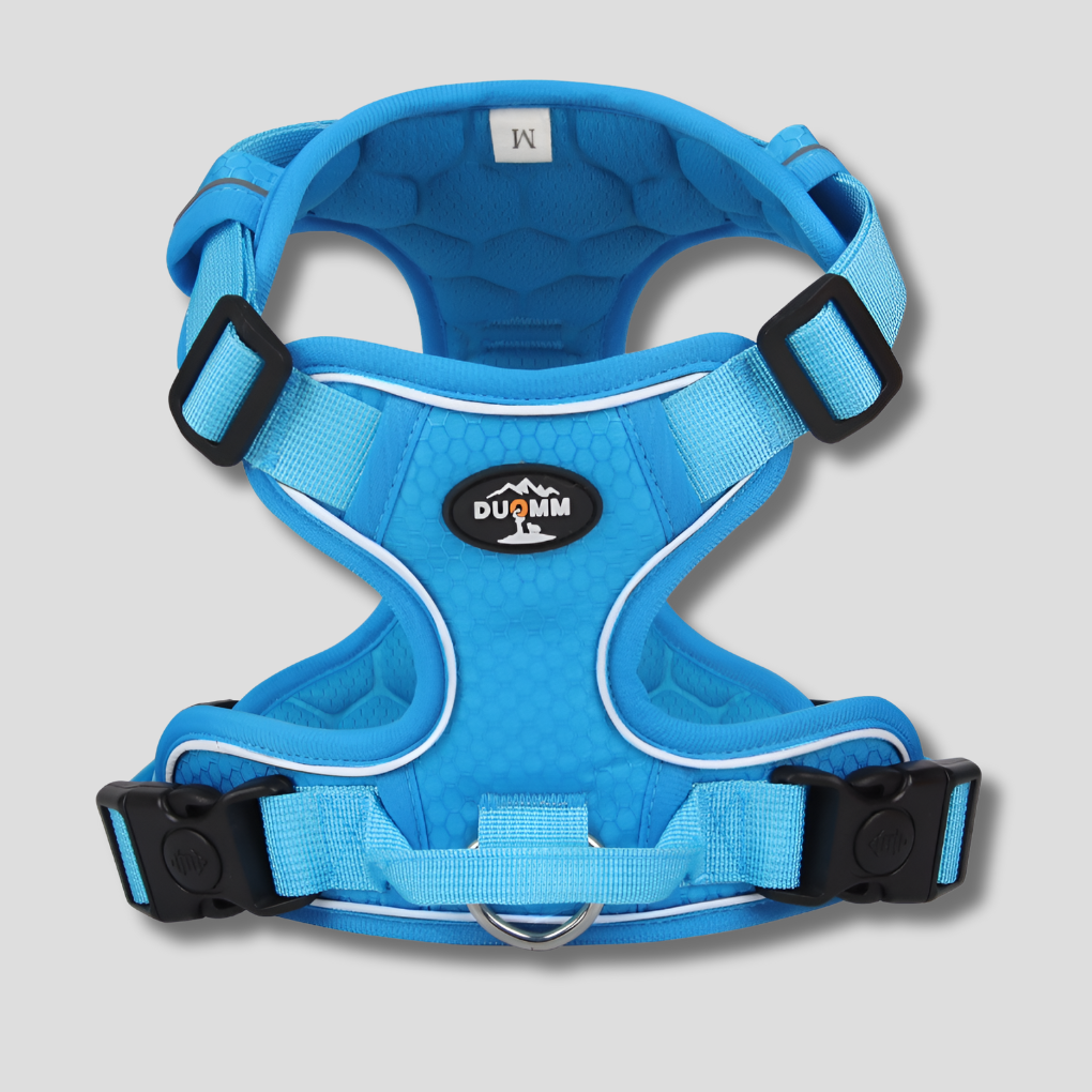 Durable blue outdoor dog harness, reflective and padded, ensuring pet safety and comfort.