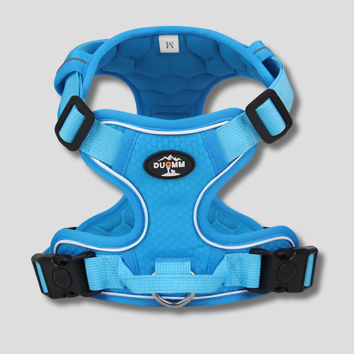 Durable blue outdoor dog harness, reflective and padded, ensuring pet safety and comfort.