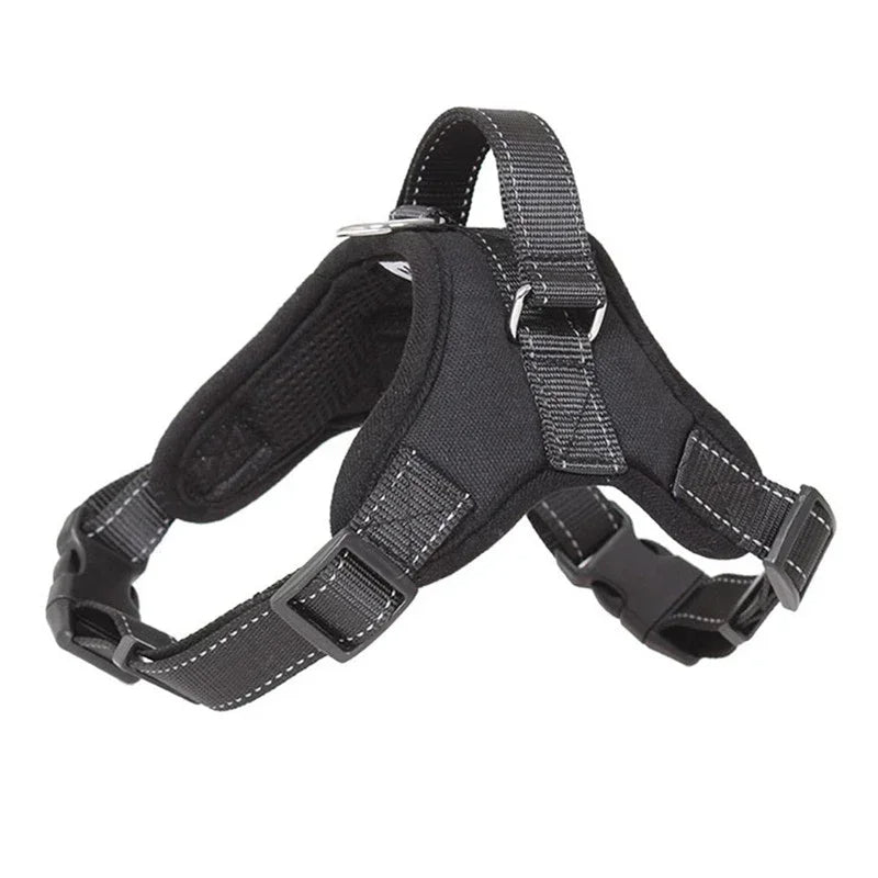 Red reflective no-pull dog harness for safe training, with adjustable straps, on a dog.