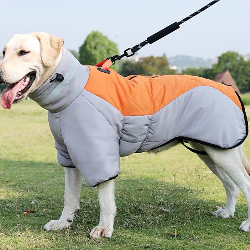 Black unisex dog coat, waterproof and warm, for winter and rain, with leash access.