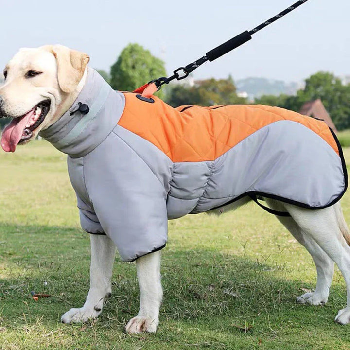 Black unisex dog coat, waterproof and warm, for winter and rain, with leash access.