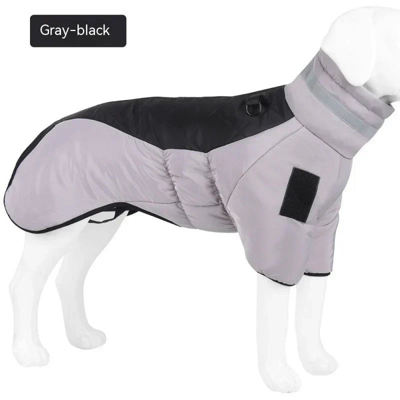 Blue dog rain gear coat with reflective trim for night safety and all-weather protection.