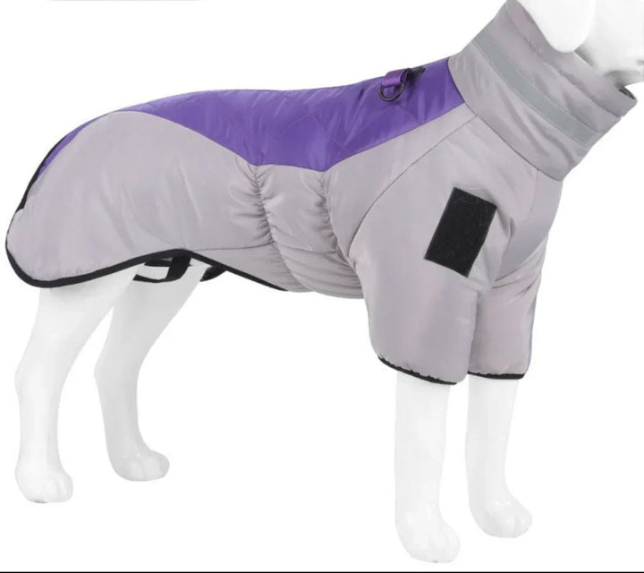 Gray adjustable waterproof dog coat, durable pet apparel for hiking and outdoor activities.