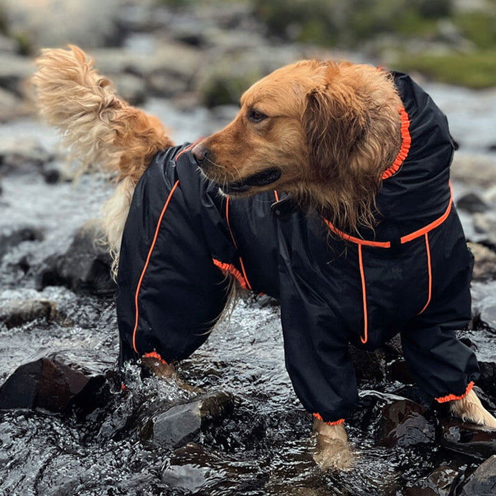 Yellow pet jacket, waterproof and reflective, designed for large dogs' outdoor adventures.
