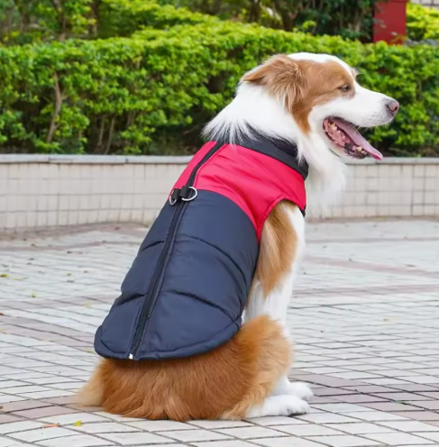 Red waterproof warm dog jacket with integrated harness, ideal for cold weather walks.