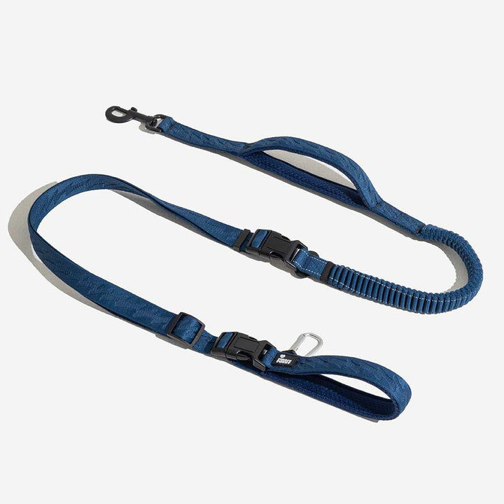 Brightly colored reflective elastic dog leash, making pets and owners visible during low light.