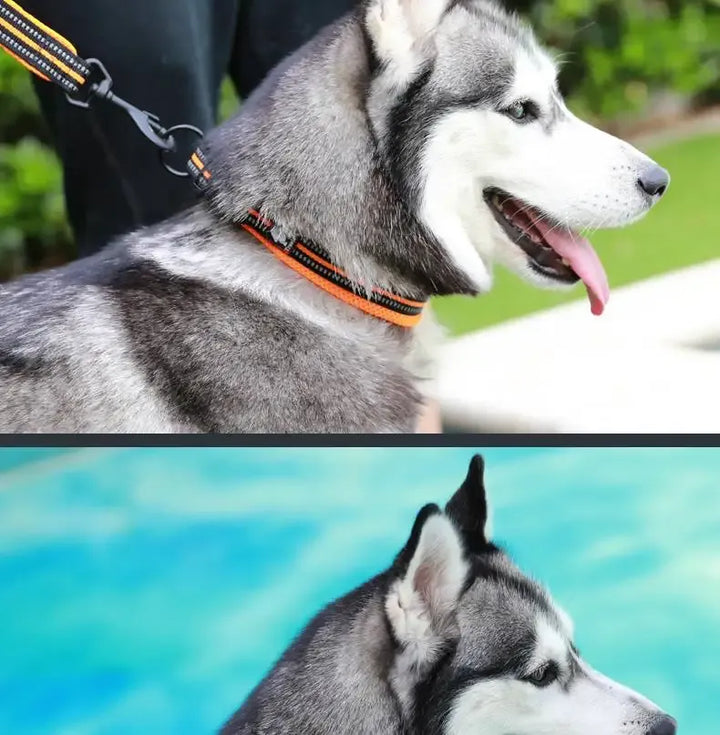 Reflective breathable adjustable dog collar in black, showcasing comfort and safety for pets.