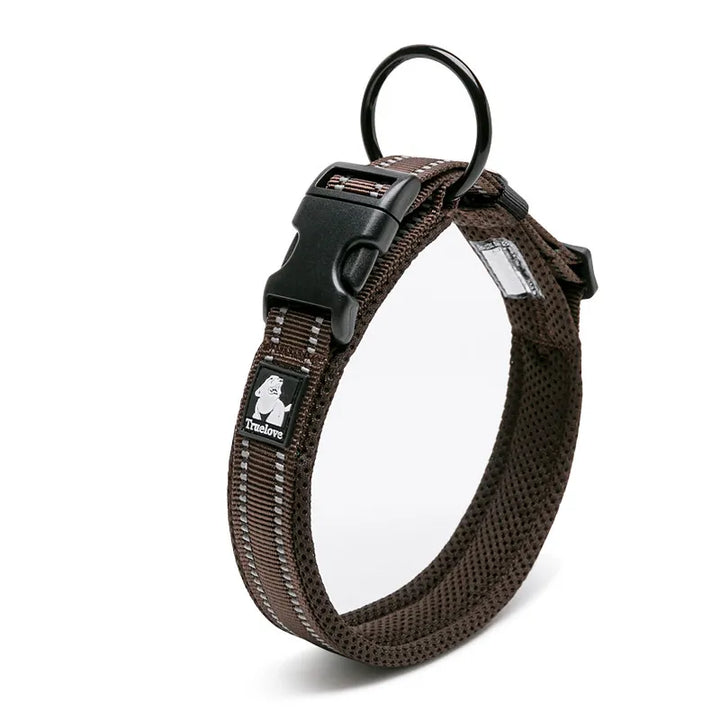 Adjustable reflective dog collar on a white background, highlighting its key safety features.