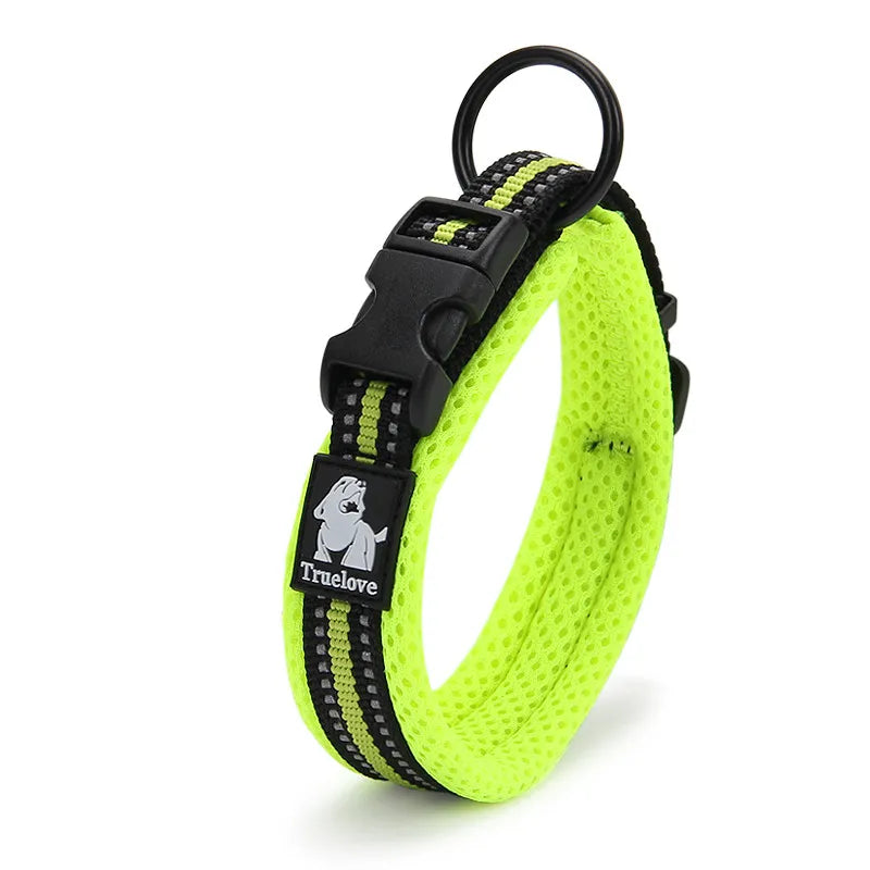 Reflective dog collar for night safety, showing adjustable strap and durable materials.