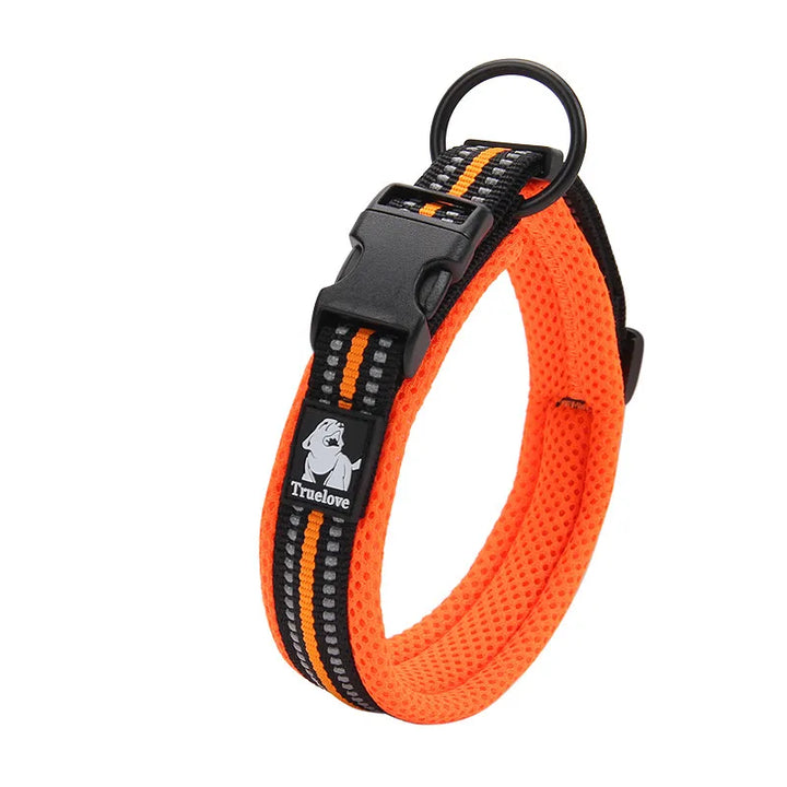 Dog collar with breathable mesh lining, providing ultimate comfort for active dogs.