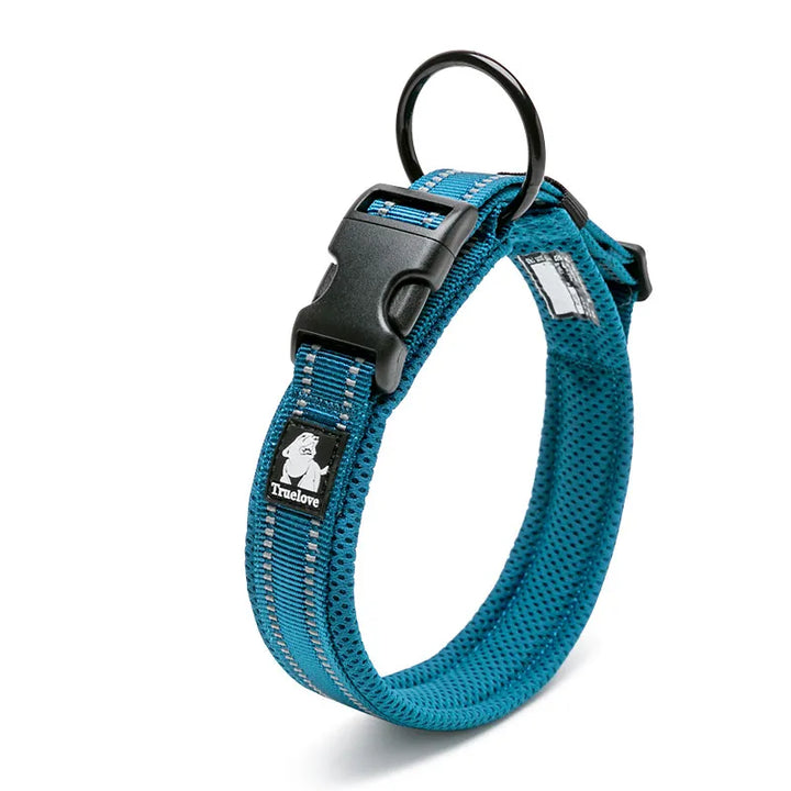 Comfortable dog collar with quick-release buckle, a must-have pet accessory for daily wear.