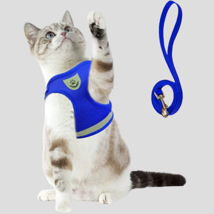 Cat harness & leash set, adjustable straps, reflective design for night safety.