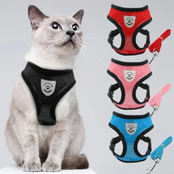 New4 cat safety harness with reflective accents and durable adjustable leash for outdoor cats.