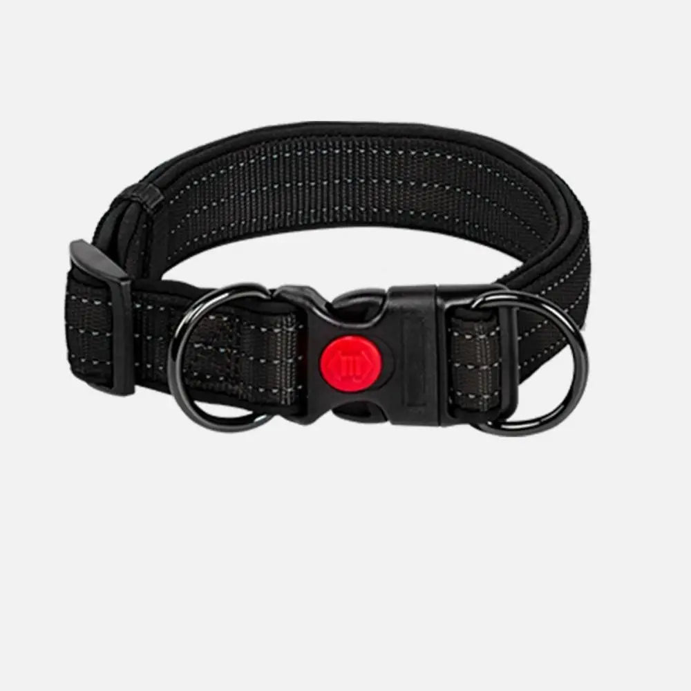 Reflective dog collar with neoprene padding for night safety, adjustable nylon for comfort.