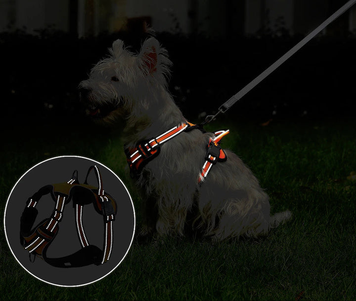Front view of a reflective dog harness, perfect for visibility during night walks and training