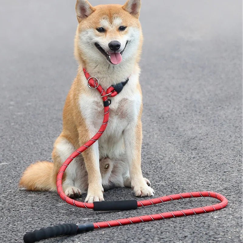 Reflective dog leash with padded handle and adjustable collar for night safety
