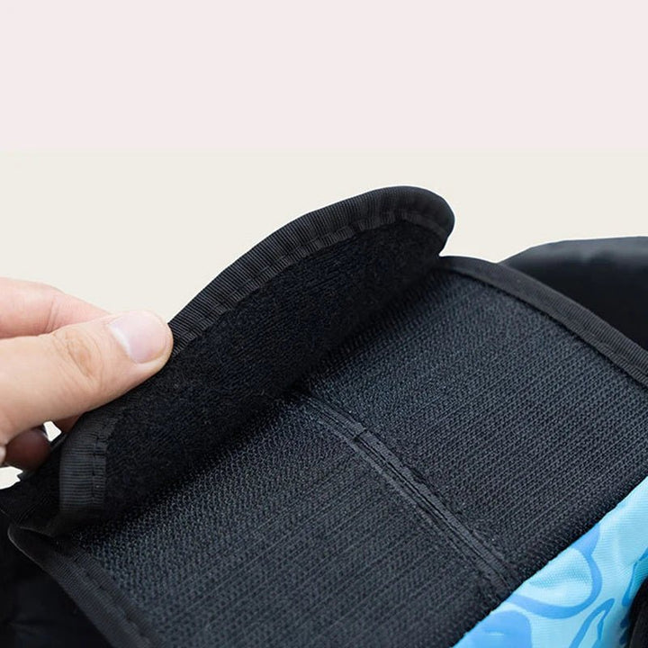 Small dog in blue reflective life vest, ensuring pet safety and buoyancy during swim activities.