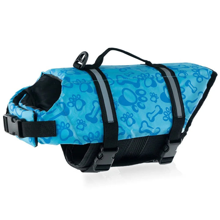 Dog paddling happily in a reflective pink life vest, secure and buoyant pet swimwear.